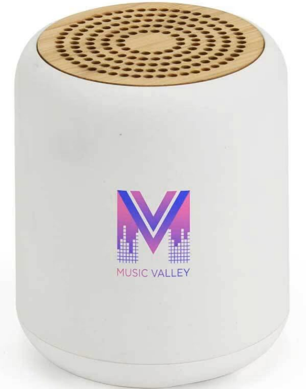 Eco-Friendly Bluetooth Speakers v5.1  product main image